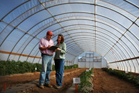 bio mulch