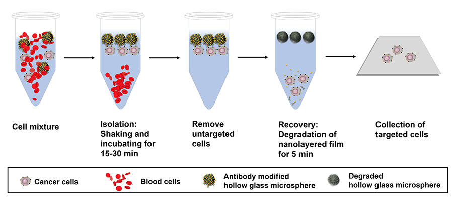 illustration of process