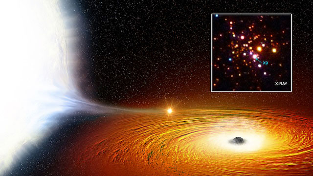 Binary black hole