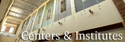 Centers and Institutes