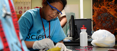Texas Tech Research