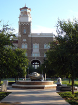 affiliated faculty at texas tech