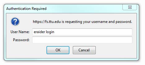 eRaider login window eRaider login window