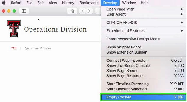 Drop-down menu select develop then empty caches