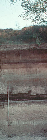 Stratigraphic wall profile