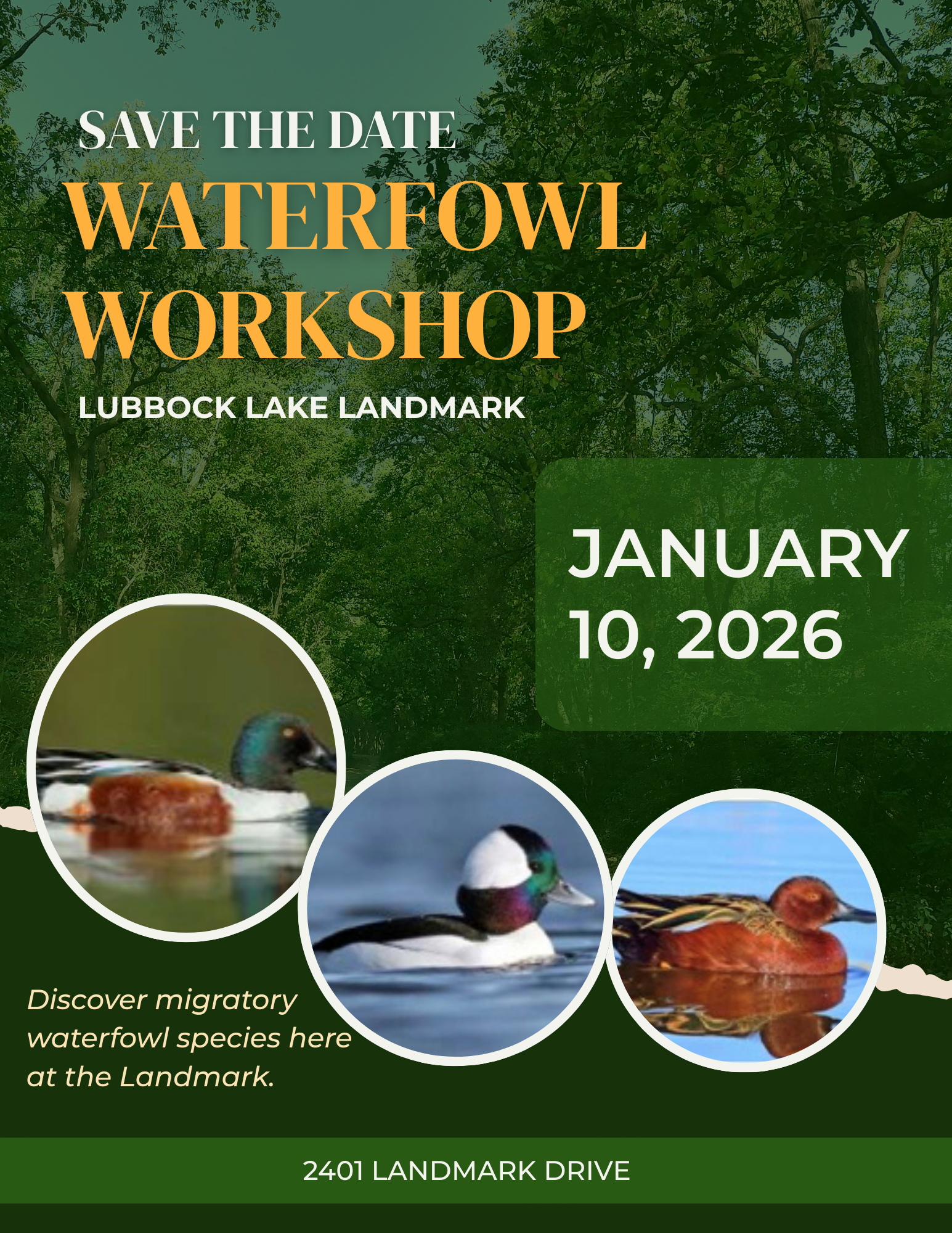 waterfowl-workshop