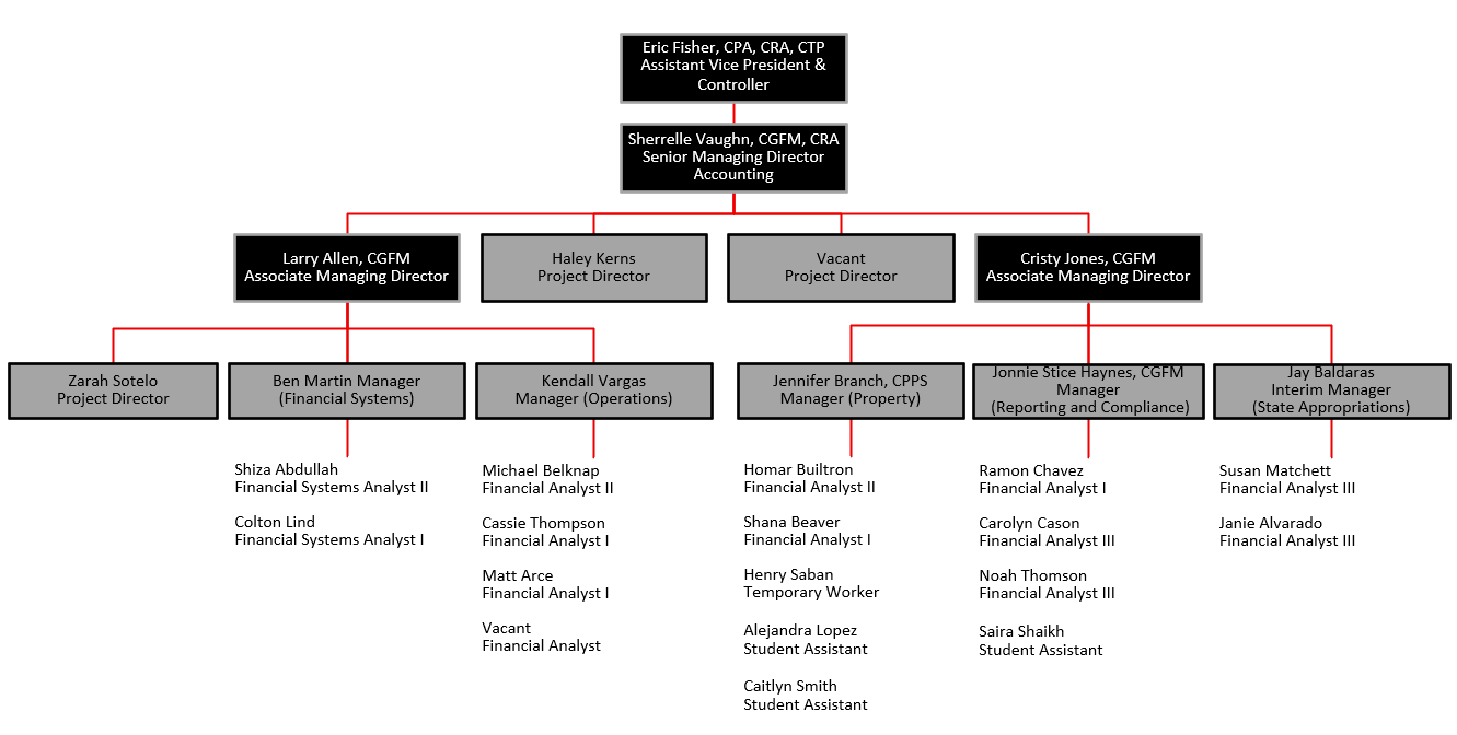 Accounting Services Organization Chart - Accounting