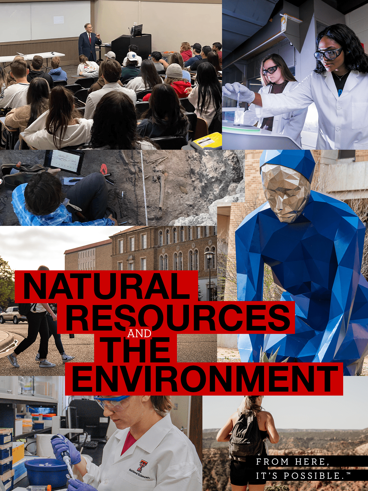 Natural Resources & The Environment Banner