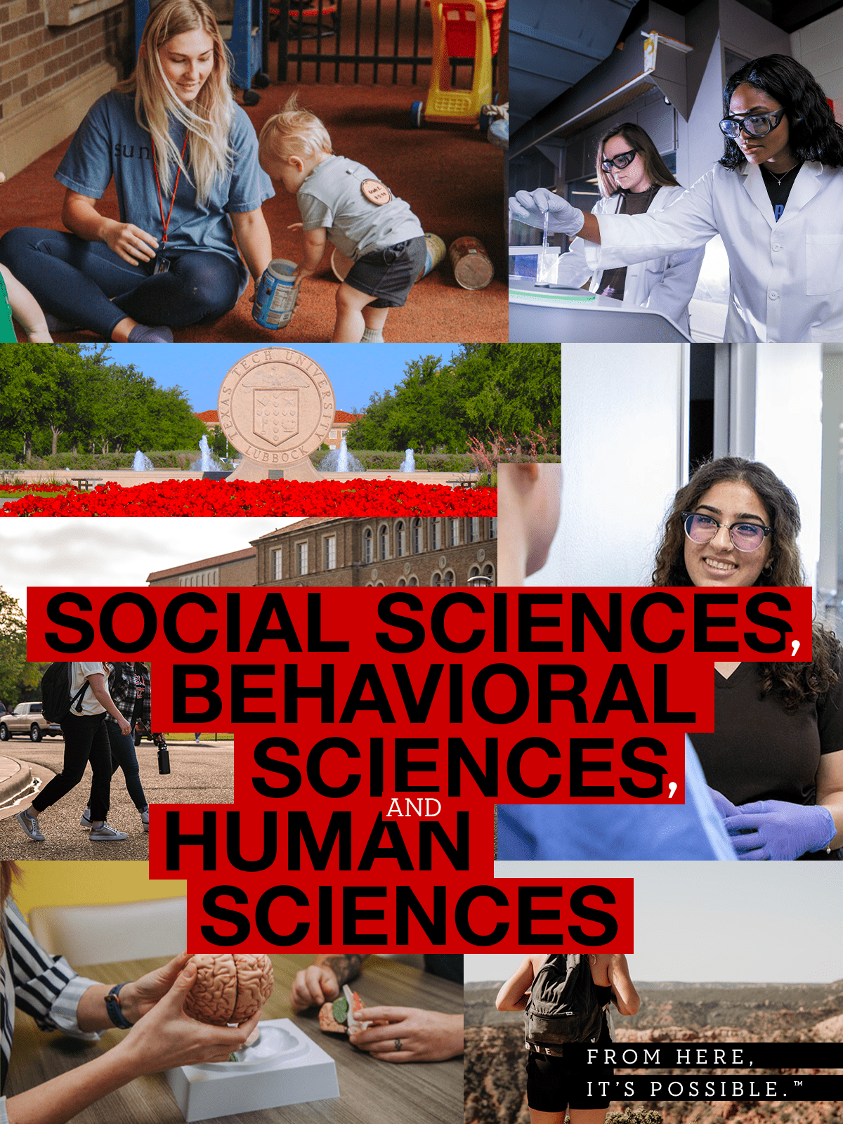 Social Sciences, Behavioral Sciences and Human Sciences