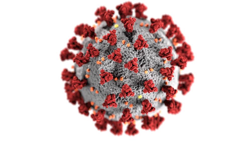 corona-virus-image