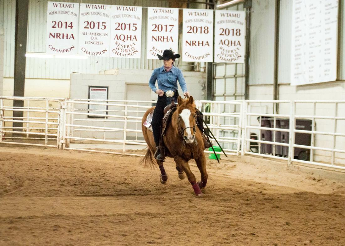 Photo Gallery | Equestrian Team | Animal and Food Sciences | TTU