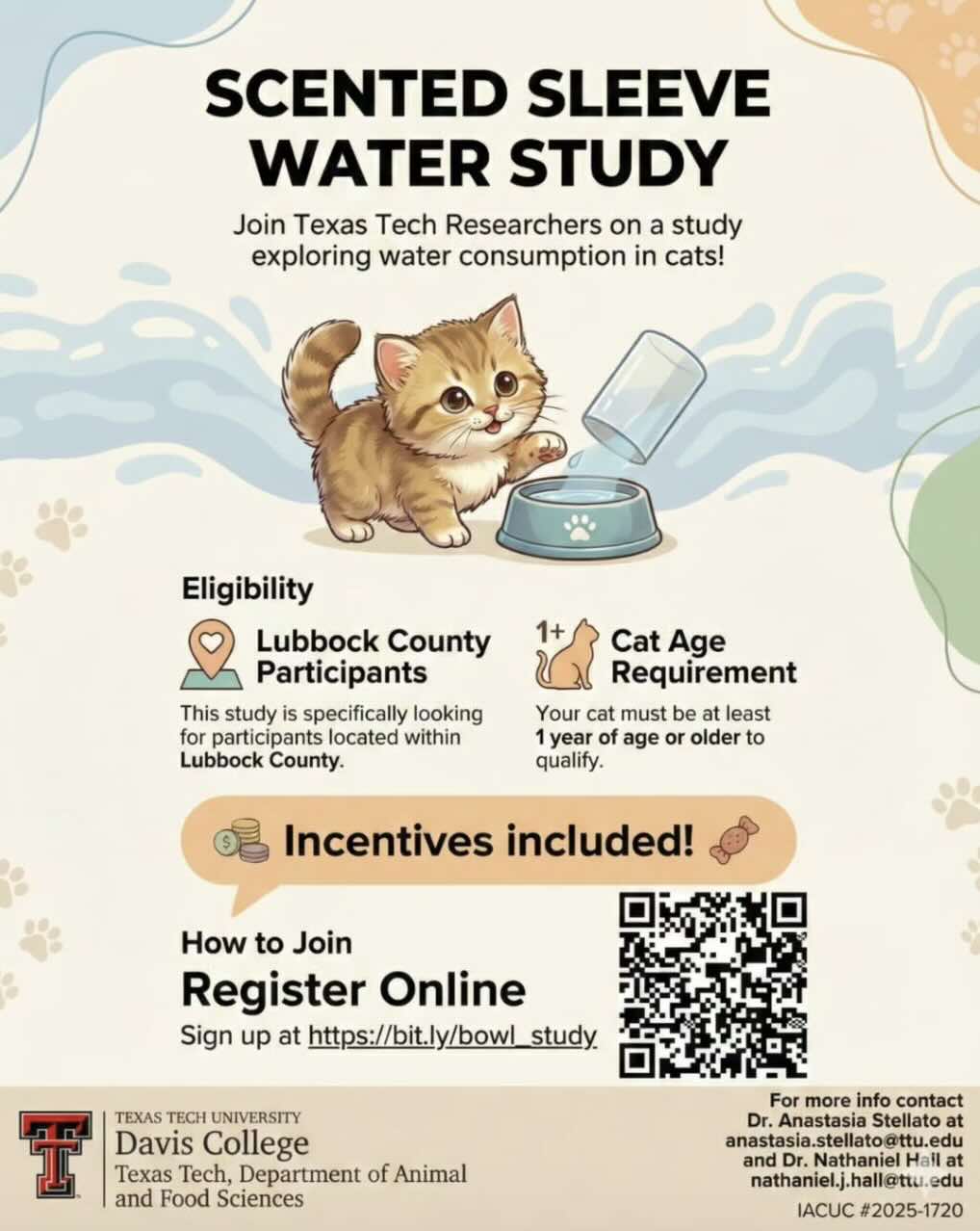 cat water bowl study