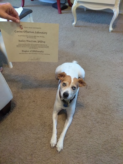 Bailey Graduation photo