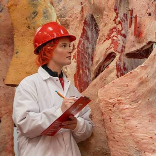 Master of Science in Food Science