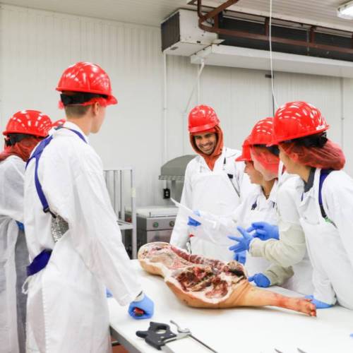 Bachelor of Science in Food Science