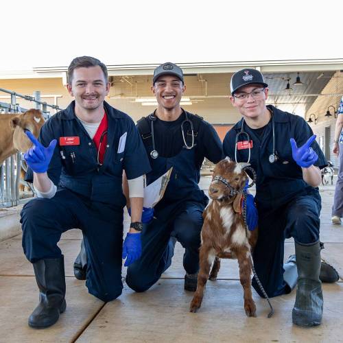 Bachelor of Science in Animal Science