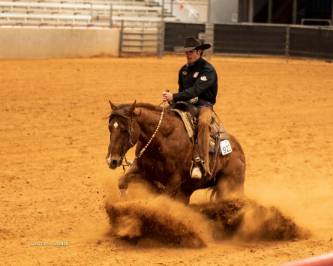 Reining