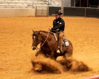 Reining