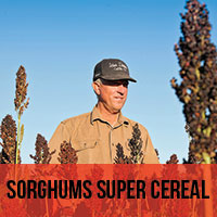 Sorghums Super Cereal