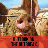 Outlook on the Outbreak