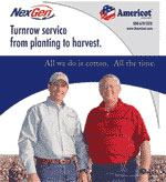 americot