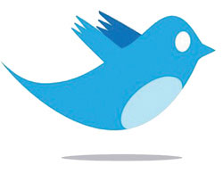 twbird