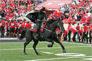 midnight matador