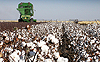Sustainable Land