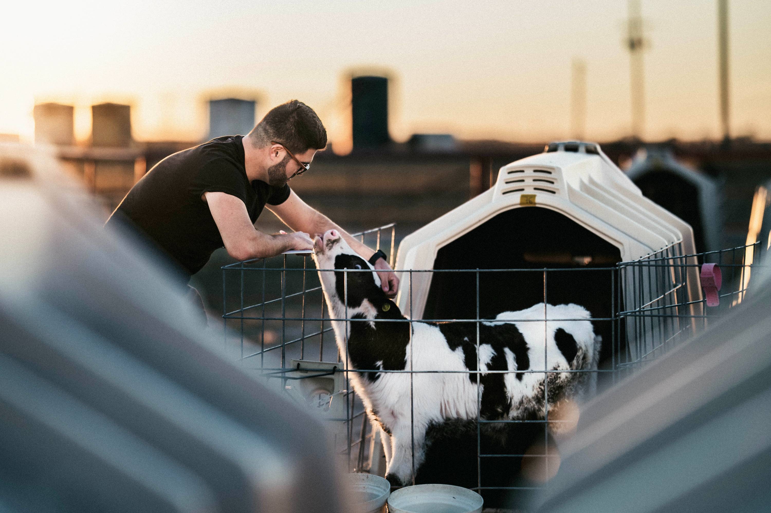 Department of Veterinary Sciences