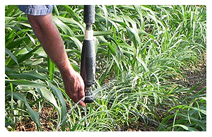 crop irrigation system