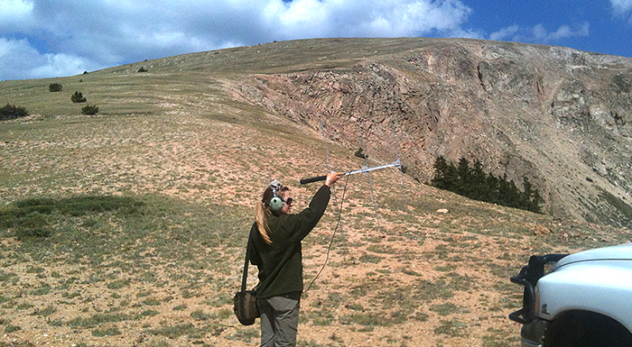 field measurements