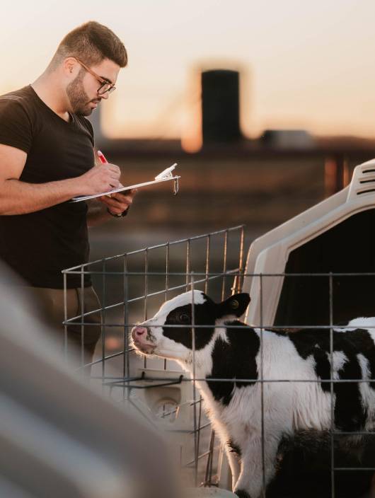 Championing Collaborating Research