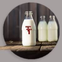 Davis College holds National Milk Day at the Dairy Barn - of course
