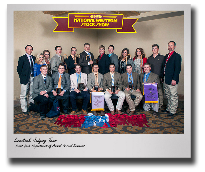 Strong start for Tech's Livestock Judging Team at National Western Stock Show