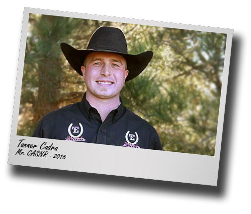 Winter Welcome: Ranch Horse Team member named 'Mr. CASNR'