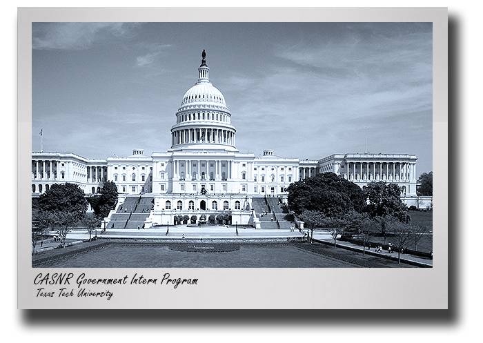 ssc-2019-congress-spring-interns-drop