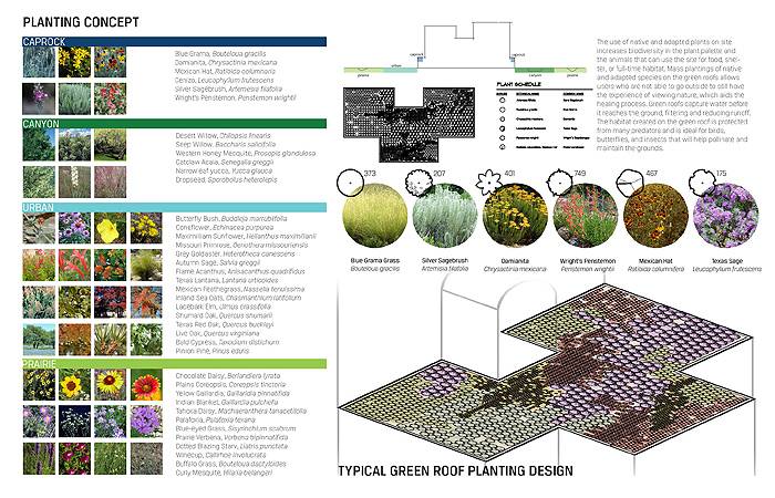 la-asla-contest-garden-nega