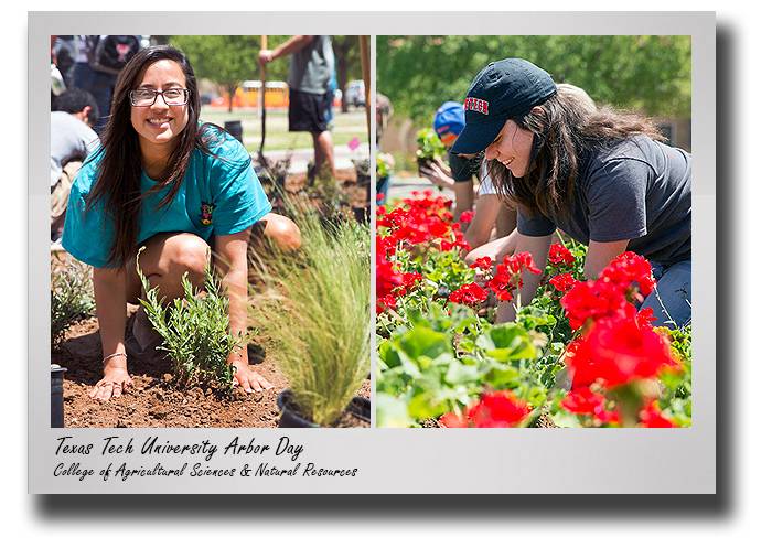 ssc-2019-casnr-arbor-day-activities-drop-2