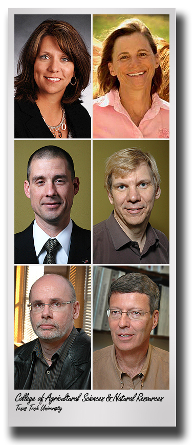 Texas Tech regents announce promotions for six CASNR faculty members