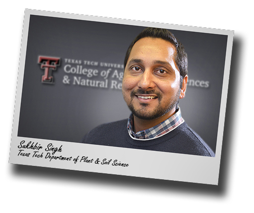 Sukhbir Singh takes new post with Tech's Department of Plant and Soil Science