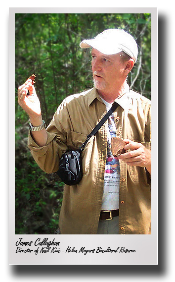 Collaboration Opportunity; Texas Tech hosts Yucatan biocultural reserve leader