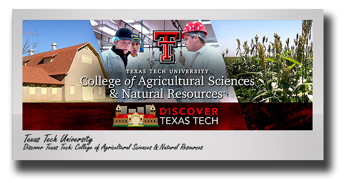 New College of Agricultural Sciences and Natural Resources video launches in April