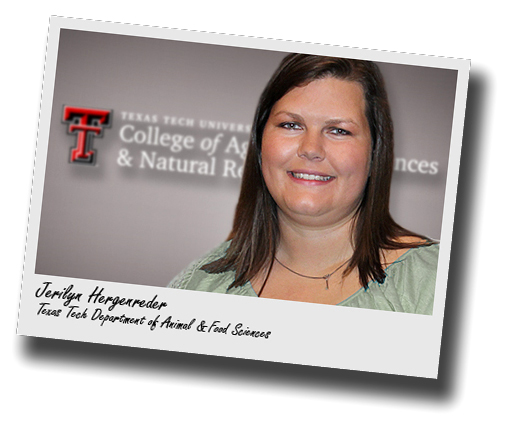 Texas Tech's Hergenreder places at SA animal nutrition research conference