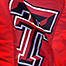 Faculty Convocation; Texas Tech honors work of six CASNR standouts