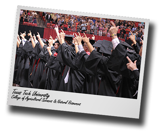 Spring Commencement; CASNR graduates featured at May ceremonies