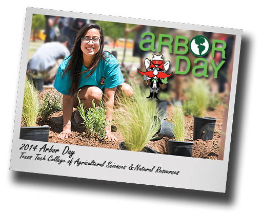 Turning A New Leaf: CASNR plants tradition with Arbor Day Celebration