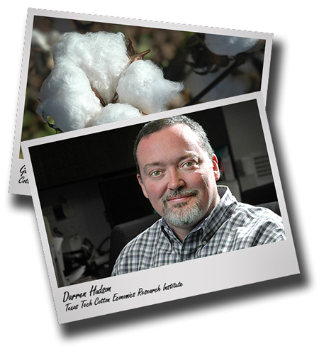 Cotton Economics Research Institute unveils new global cotton outlook analysis