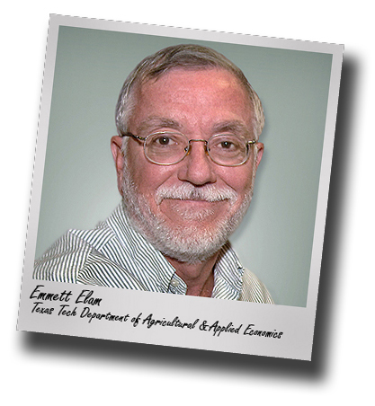 President's Excellence in Academic Advising Award goes to AAEC's Elam