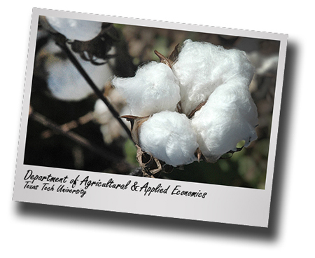 Expect minimal impact from recent Chinese cotton reserve policy changes