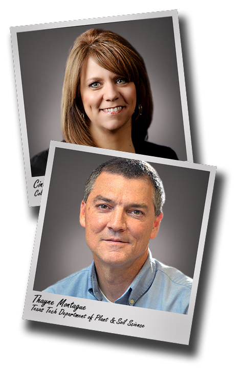 Advising, faculty awards go to CASNR's Thayne Montague and Cindy Akers